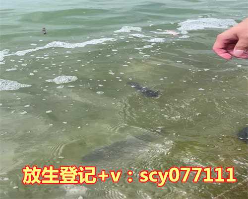 浙江哪个地段放生，浙江舟山市岱山县放生一条渔民误捕中华鲟