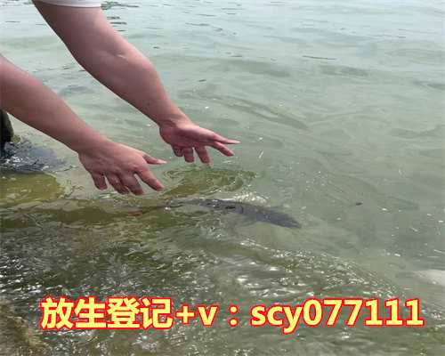 阳历几月放生好，天蝎座是几月几号到几月几号生日？