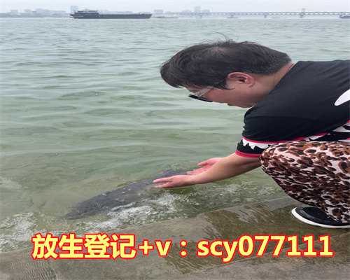 放生乌龟需要念什么，我放生的乌龟