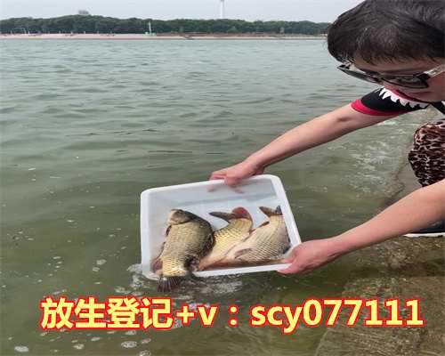 大连何地可以放生虾，新疆13例，辽宁2例！大连进入战时状态