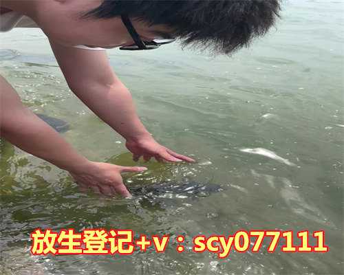 对放生鸟的看法，男子在大集上明目张胆卖野生鸟活体鸟类已放生