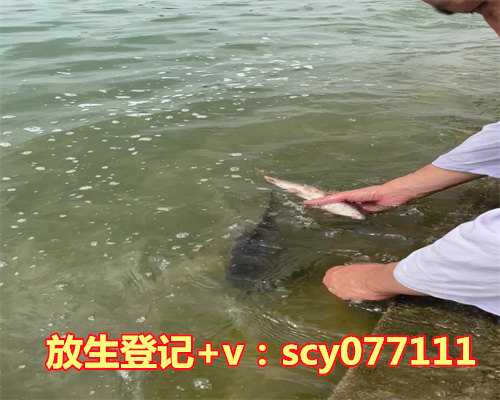 过生日放生有什么好处和坏处吗，红豆有什么好处？