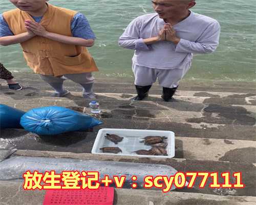 放生最佳日子，红枣日常生活中的保健佳品