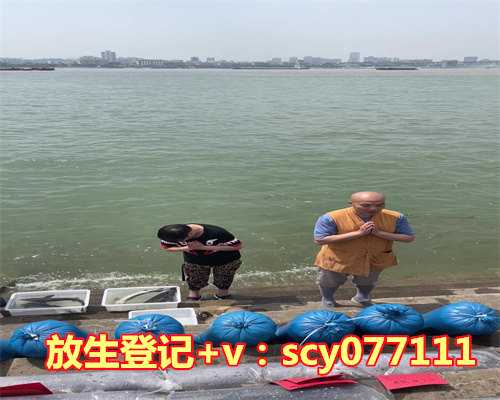 适合放生的海鱼，圆满放生：适合带水暂养的塘角鱼放生2