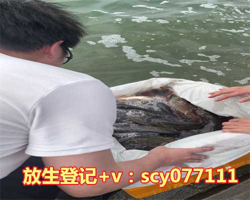 2023年放生的法律规范，2023年属牛人的全年运势