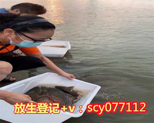 12月份放生放什么最好最吉利，放生什么动物功德最大