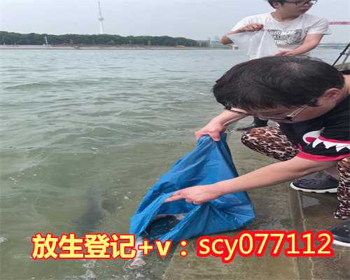 2023放生表，2023年送子娘娘生日是几号