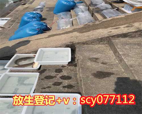 为了高考给孩子去放生好吗女孩,为了高考给孩子去放生好吗