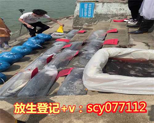 佛山放生微信群，佛山哪里可以放生乌龟