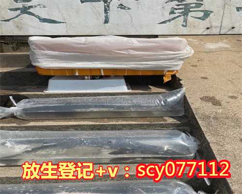 农历7月15放生好吗，8月15日初秋江边大放生