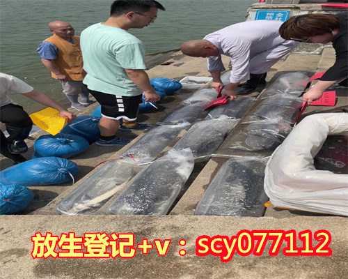 乌龟需要放生吗，我梦到放生乌龟的梦好不好