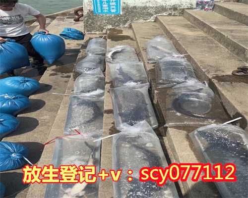 初几放生好，放生时要念什么经几点放生好