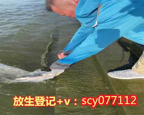 祈福放生是什么意思啊，八字是什么意思啊