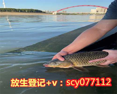 2023年月份放生时间表，2023年7月黄道吉日一览表