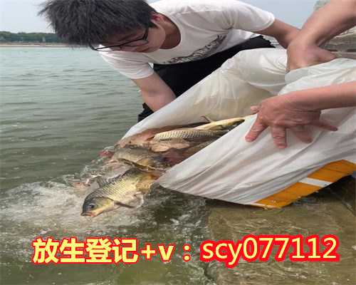 锦鲤放生有什么讲究，放生鲤鱼什么意思1