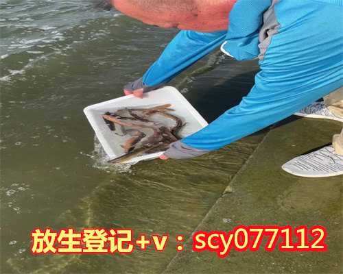 蜈蚣在佛教里面的含义，佛教放生蜈蚣