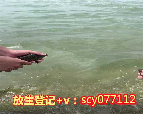 为腹中胎儿放生祈福，小儿秋季腹泻