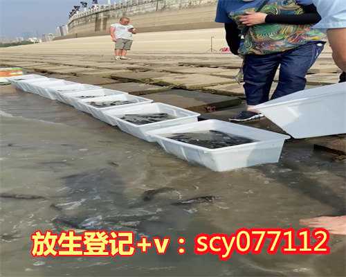 湖北怎样如法放生,湖北哪里放生比较好,2023放生最佳时间表