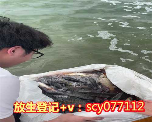 内蒙鱼苗去哪里放生，五行缺水，养金鱼应该养几条，什么颜色的金鱼，家里摆