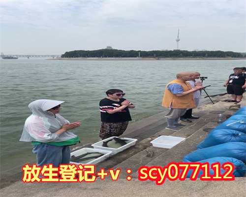 北京放生的鱼哪里买，北京一河道现大量死鱼