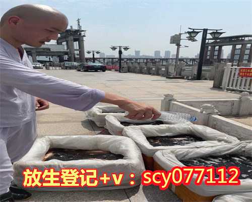 为何要放生乌龟，乌龟往生