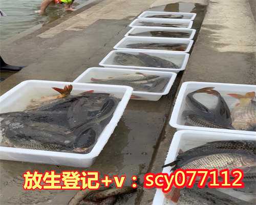 三亚放生qq群，邹市明携妻带子游三亚，放生两百多岁海龟竟当场感动流泪