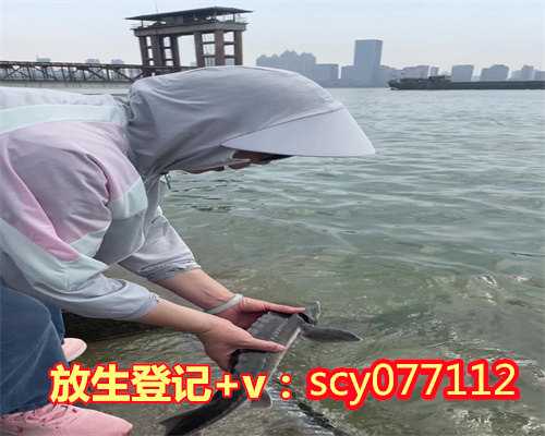 2023年初几放生，2023年生肖龙的全年运势