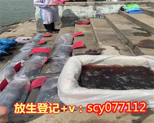 放生现场吉祥云，八吉祥神咒