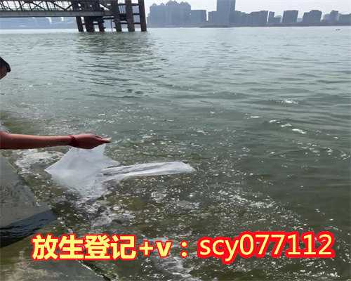 东莞放生园放生牛蛙，去过东莞观音山的，进…