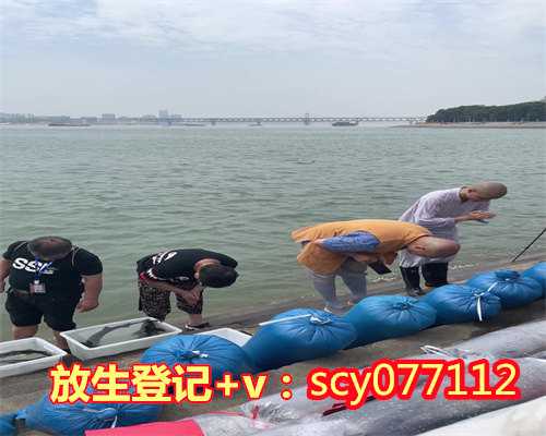 放生鲤鱼有什么讲究和说法，佛说放生鲤鱼的功德