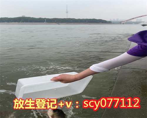 过生日放生吃素有什么好处，问：“吃素”与“放生”究竟有什么不同？