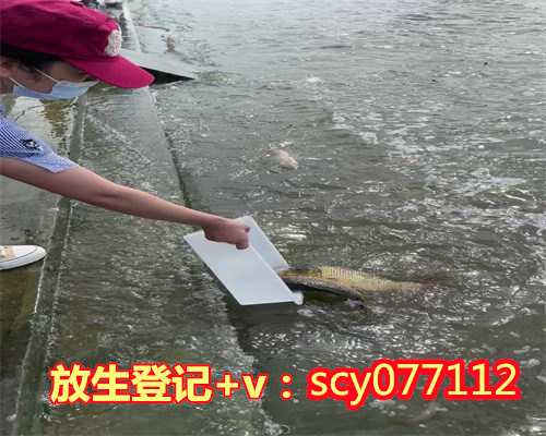 劝别人放生是否有功德，问：放生有什么功德？