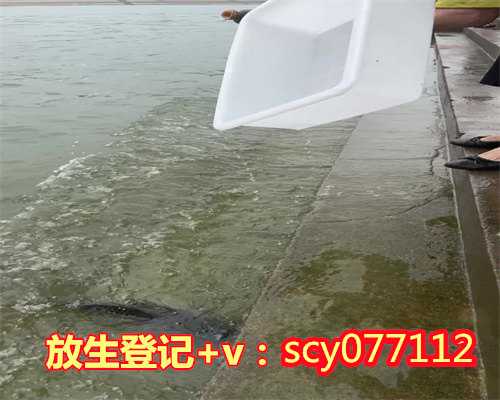 冤亲债主阻碍学佛，冤亲债主阻拦放生