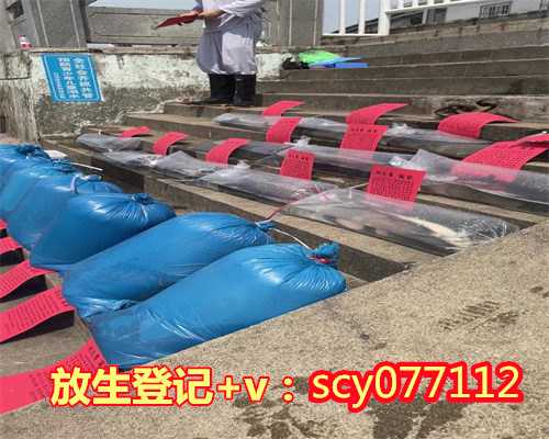 重庆哪里有可以放生的地方，《重庆商报》：杀自家养17年老狗连吃两天狗肉，