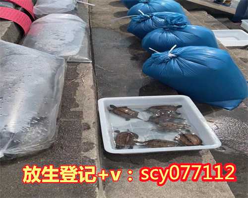 圆满的给众生归依和放生仪规，圆满放生：不耐缺氧水生类放生4