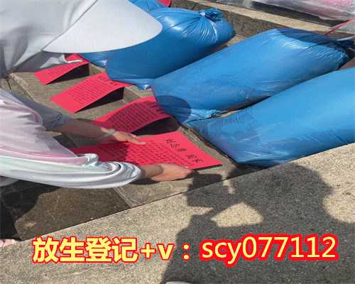 四川放生园放生淡水鱼，四川旺苍县的一个石窟