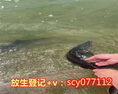 莲池大师戒杀放生文，莲池大师戒杀放生文图说：扫螺种福