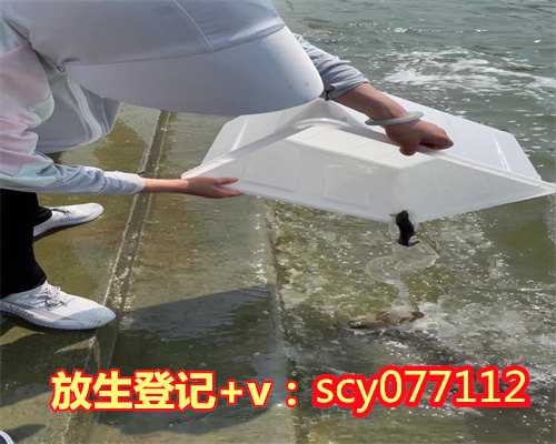 放生鱼多少条好一点，女人梦见帮别人捞了好多小鱼,一条大鱼是什么意思？