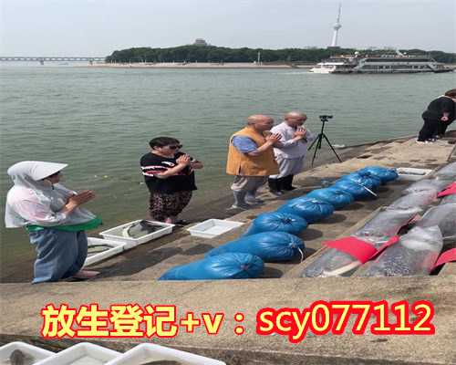 中元节放生什么比较好，冬天吃什么水果比较好