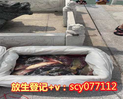 多放生可以消除业障吗，放生可以快速的消业积累福报