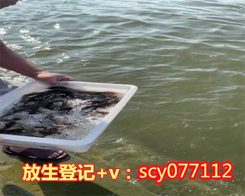 海南放生园放生鲫鱼，海南五指山