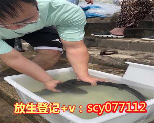 代放生和自己放有什么区别,代放生多少能治病