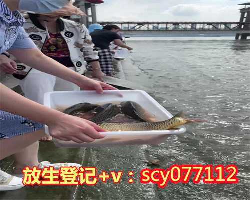 乌鲁木齐附近可以放生鱼的河,乌鲁木齐放生的地方