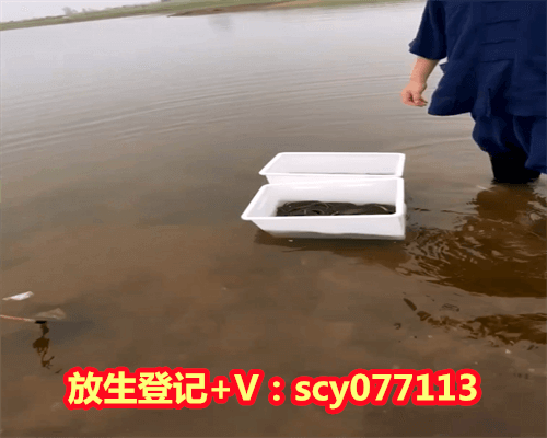 给家里生病的人放生有效吗，水晶放家里有什么讲究吗