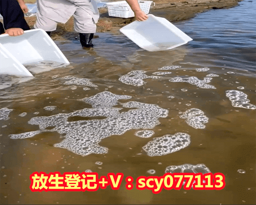 孩子生日放生怎么说祝福语呢，古汉语中祝贺生日怎么说？